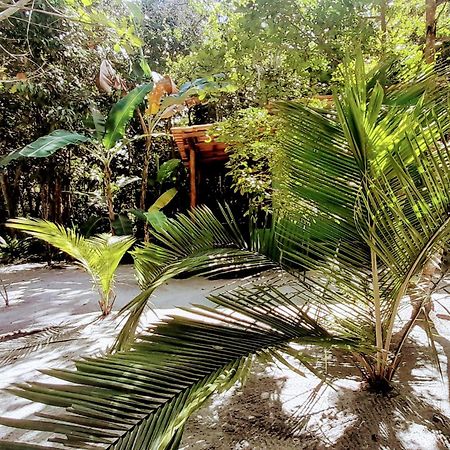 Chales Guigo-Cumuruxatiba, Sossego E Privacidade クムルサティバ エクステリア 写真