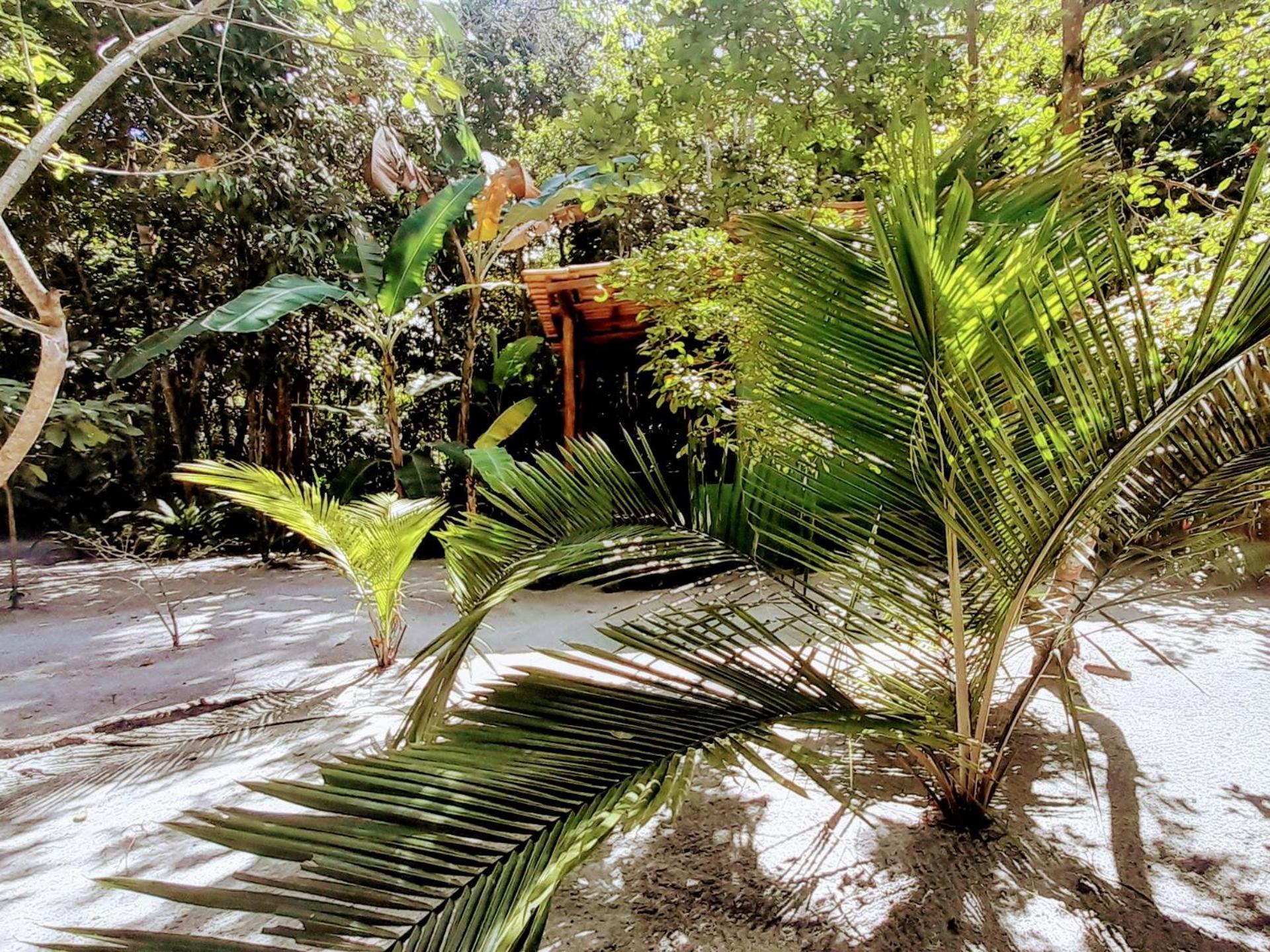 Chales Guigo-Cumuruxatiba, Sossego E Privacidade クムルサティバ エクステリア 写真