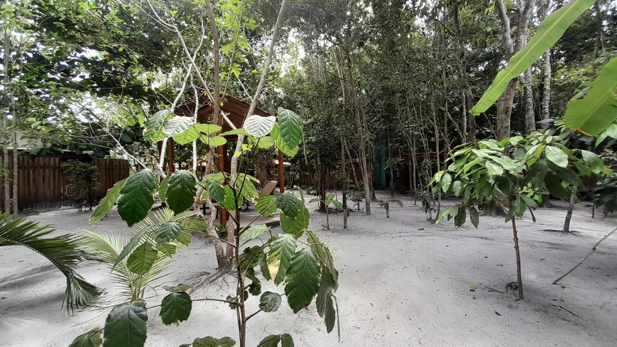 Chales Guigo-Cumuruxatiba, Sossego E Privacidade クムルサティバ エクステリア 写真